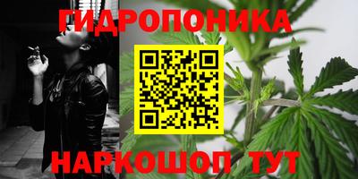 хмурый Абакан