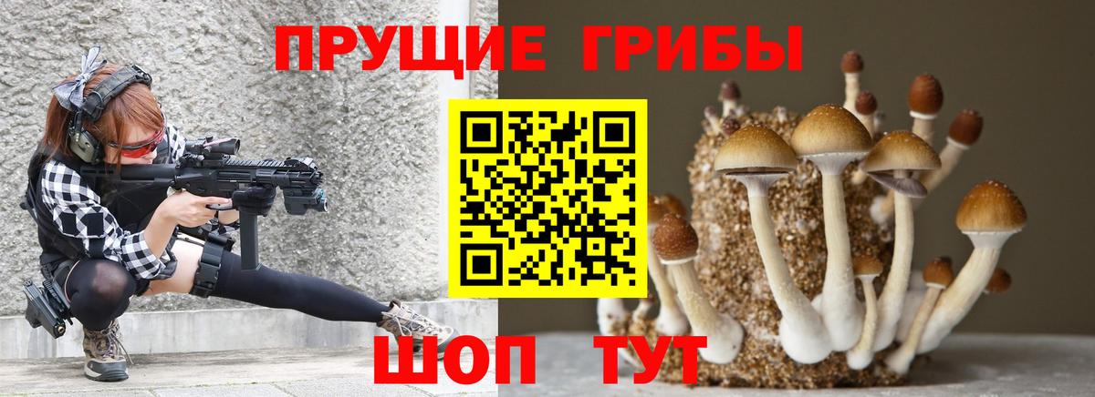 Псилоцибиновые грибы Psilocybine cubensis  Вход с VPN  Псилоцибиновые грибы Psilocybe  Апатиты 